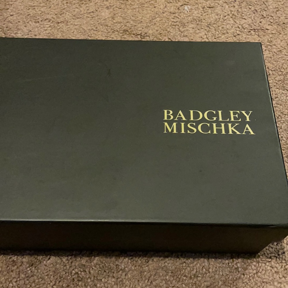 Size 8 Badgley Mischka shoes.